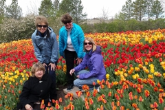 Gardening-2015-Tulip-Festival-Thanksgiving-Point