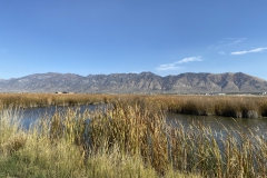 2022-10-21-GGW3-view-along-walkway-at-Bear-River-Bird-Refuge