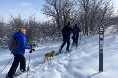 Snowshoeing-Backslide-Susan