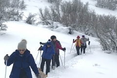 Snowshoeing-Nowhere-Elks